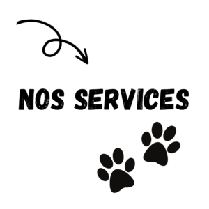 Services